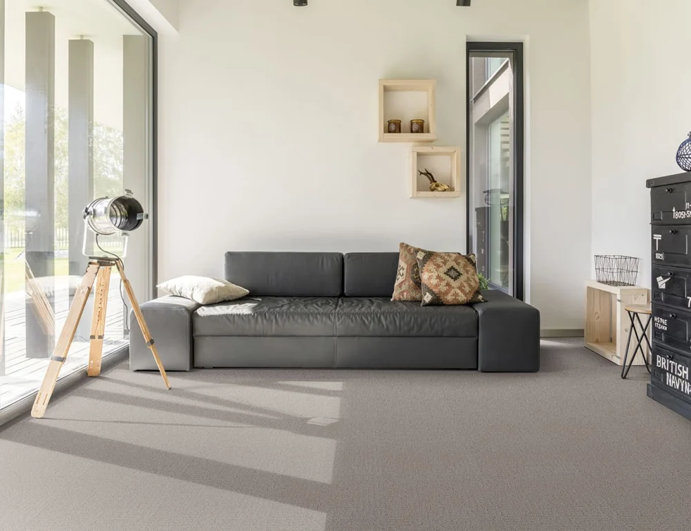 Room scene showing Stellar Starlight carpet in a furnished residential interior.